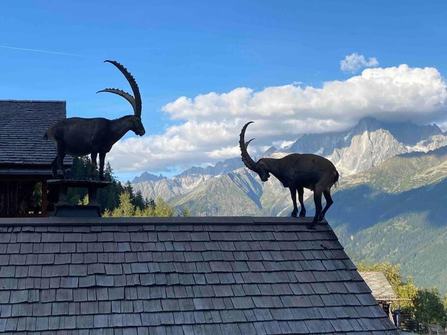 Apartmán Praz Sur Arly - Proche Des Pistes Et De Megeve Exteriér fotografie